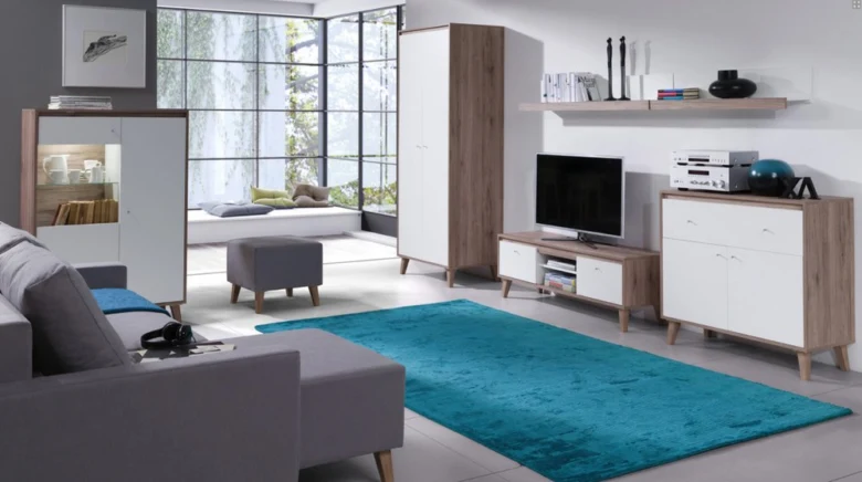 Living room interior with turquoise rug