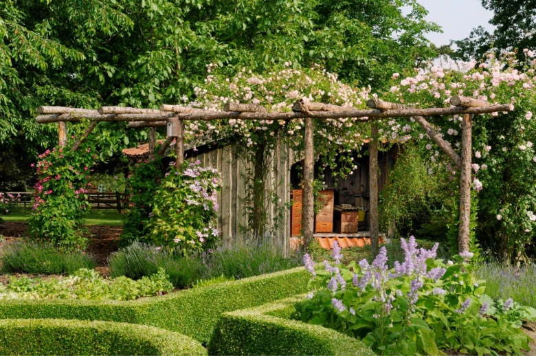 Dřevěná pergola s růžemi u domu v zahradním prostředí.