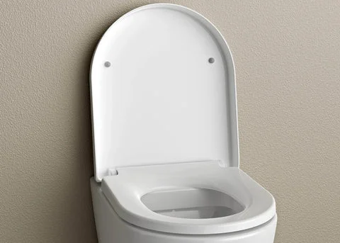 Bílý záchod s otevřenou sedátkem na neutrálním pozadí.
