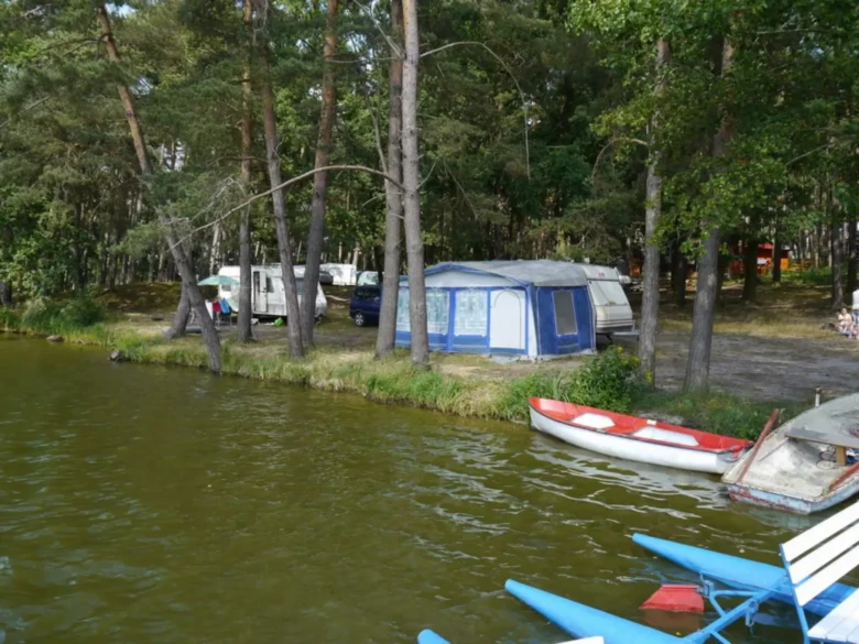 Kemp s plavidly a stany u vody v přírodě