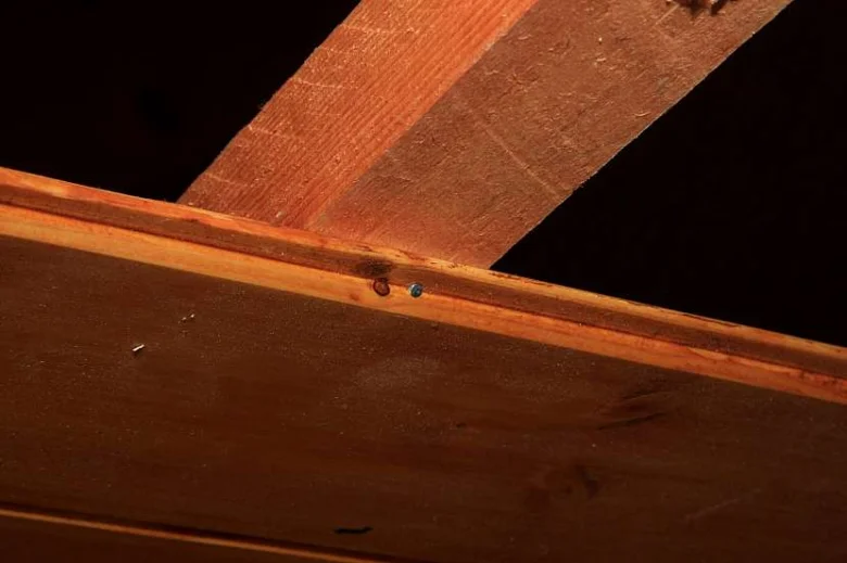 Detailní pohled na dřevěné palubky s viditelnými šrouby.
