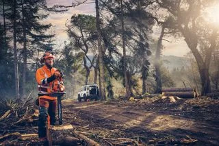 Lesník s motorovou pilou v lesním prostředí při práci.