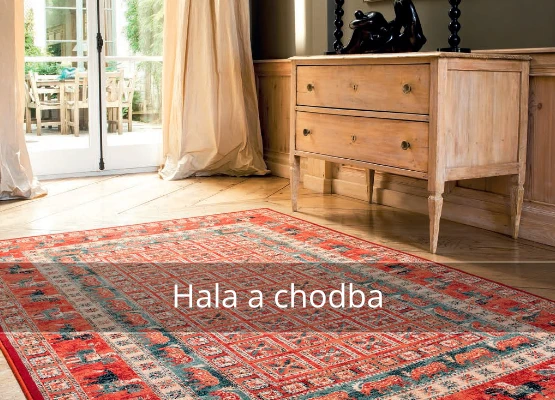 Koberce do obývacího pokoje s nábytkem v interiéru.