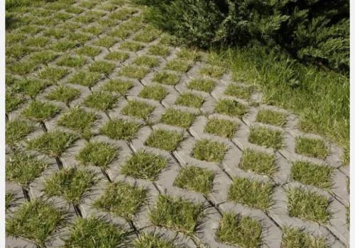 Vegetační dlažba s rostoucí trávou mezi betonovými bloky.