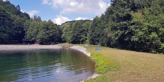 Koupaliště u jezera v přírodě s travnatým břehem a stromy.